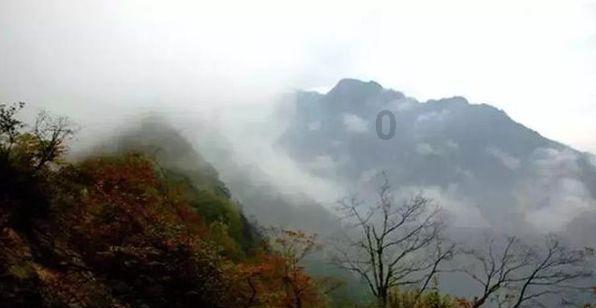 部落陷阱逃脱