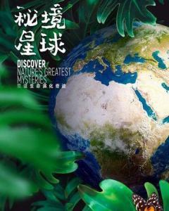 宇宙蜜蜂无敌版
